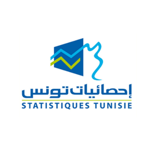 Institut National de la Statistique - المعهد الوطني للإحصاء logo