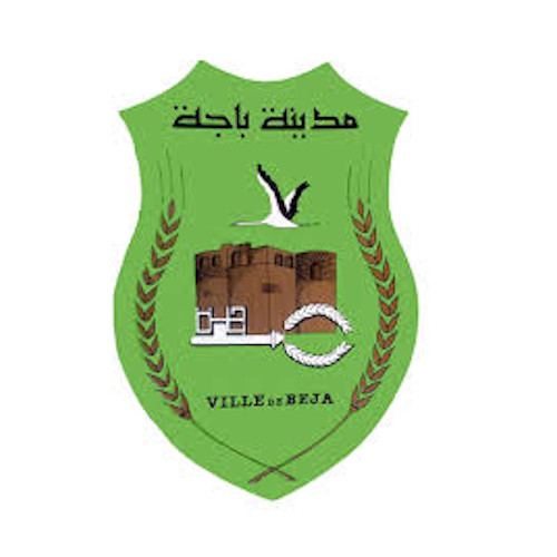 بلديّة باجة - إدارتي